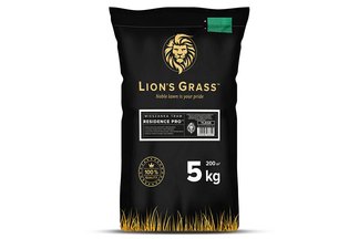 Trawa na trawniki przydomowe i tereny reprezentacyjne Lion's Grass RESIDENCE PRO Premium 5 kg Rolmarket